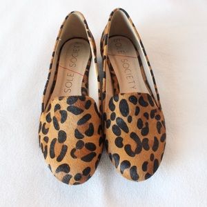 Sole Society Nitsa Leopard Loafers